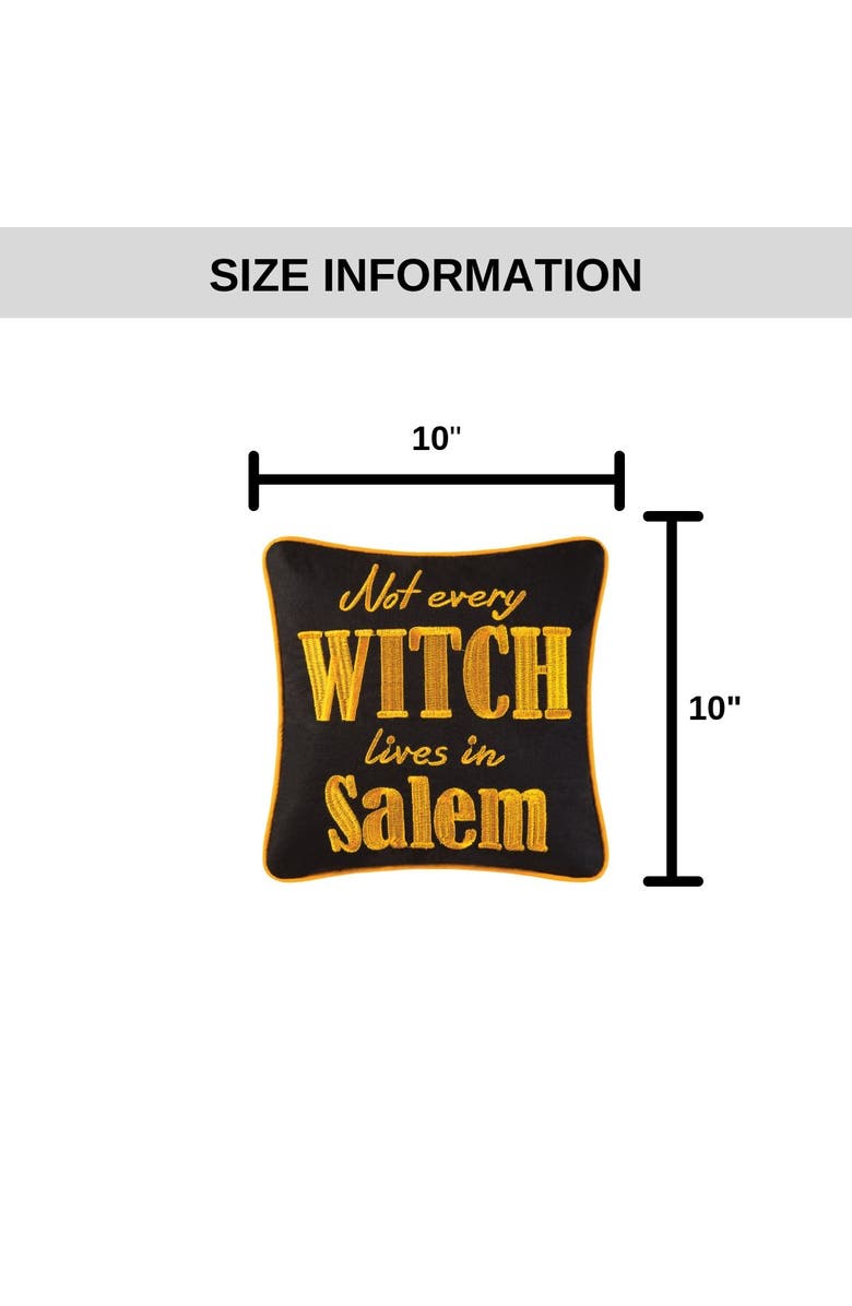 C&F Home Not Every Witch Lives In Salem 10" x 10" Halloween Accent Pillow, Alternate, color, Black