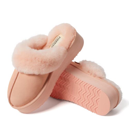 Shop Dearfoams Fireside Melton Genuine Shearling Platform Scuff Slipper In Peach Dust