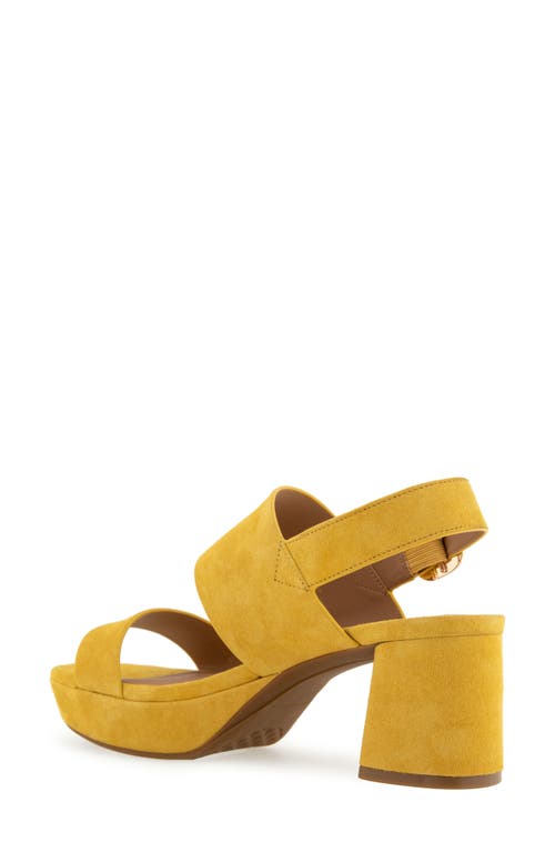 AEROSOLES AEROSOLES CAMERA PLATFORM SANDAL 