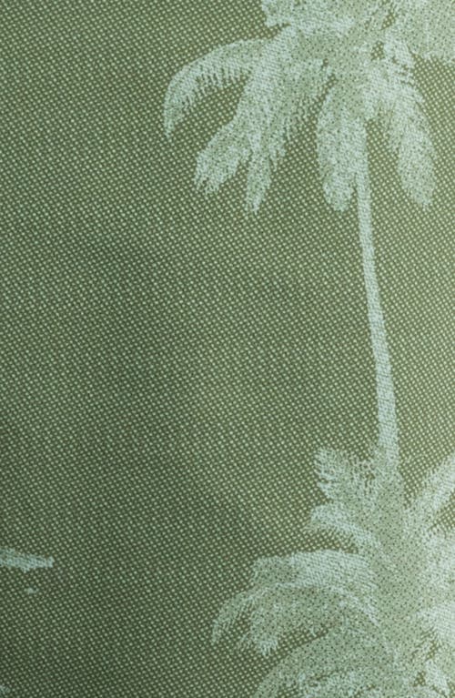 Tommy Bahama Baja Palmero Swim Trunks In Army Green