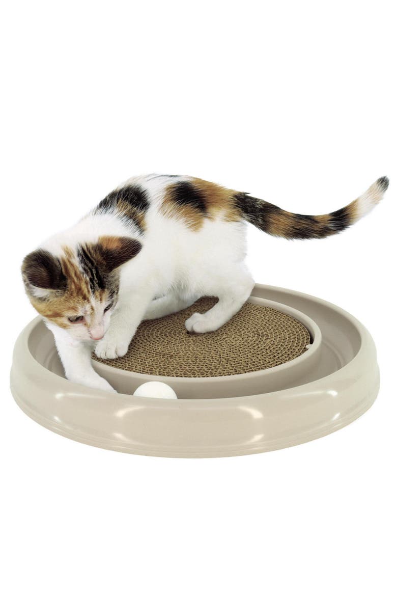 Scratcher Eco, Grey, Cat Toy & Catnip Pack, 15.5 Inches, Round Racetrack, Alternate, color, Gray