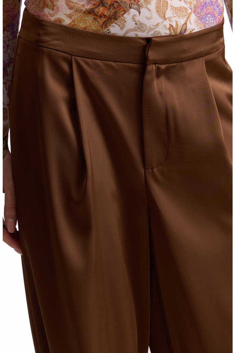 Pleated Balloon Pants, Alternate, color, CHOCOLATE