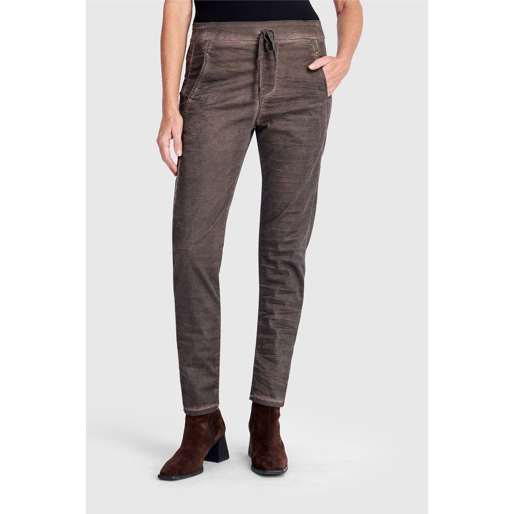 Alembika Washed Iconic Stretch Jeans In Brown