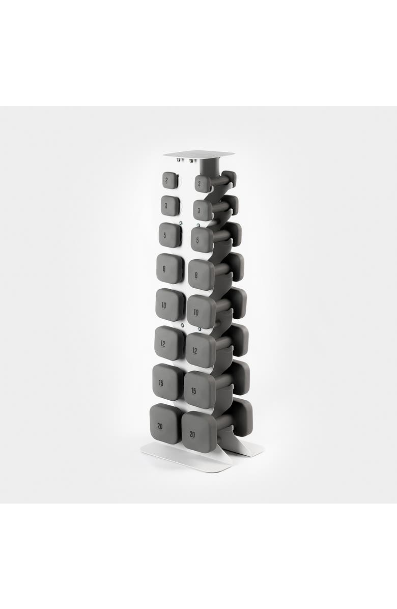 WeGym SafeGrip Dumbbells Full Set with Light Rack - 2 - 20 lbs, Main, color, Slate