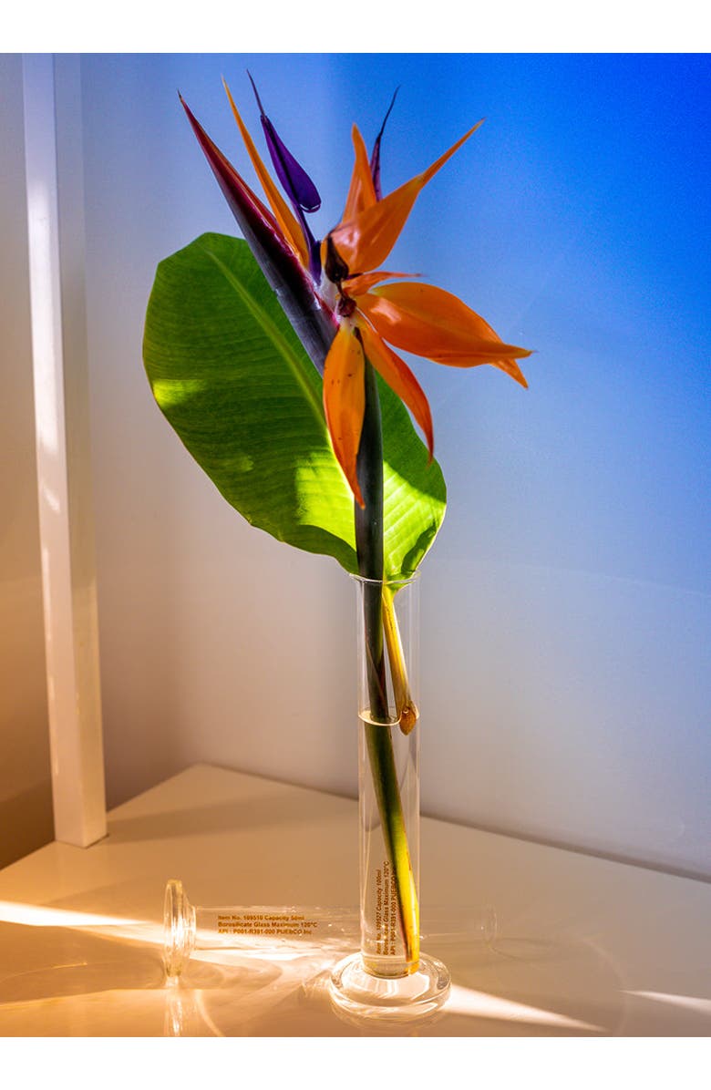 PUEBCO Single Flower Vase, Alternate, color, Clear