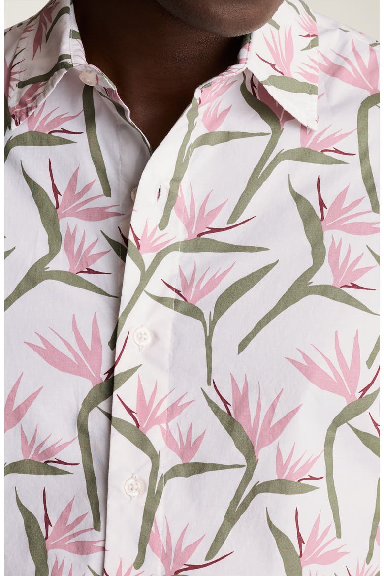 Riviera Slim Fit Point Collar Short Sleeve Stretch Cotton Button-Up Shirt, Alternate, color, BIRDS OF PARADISE