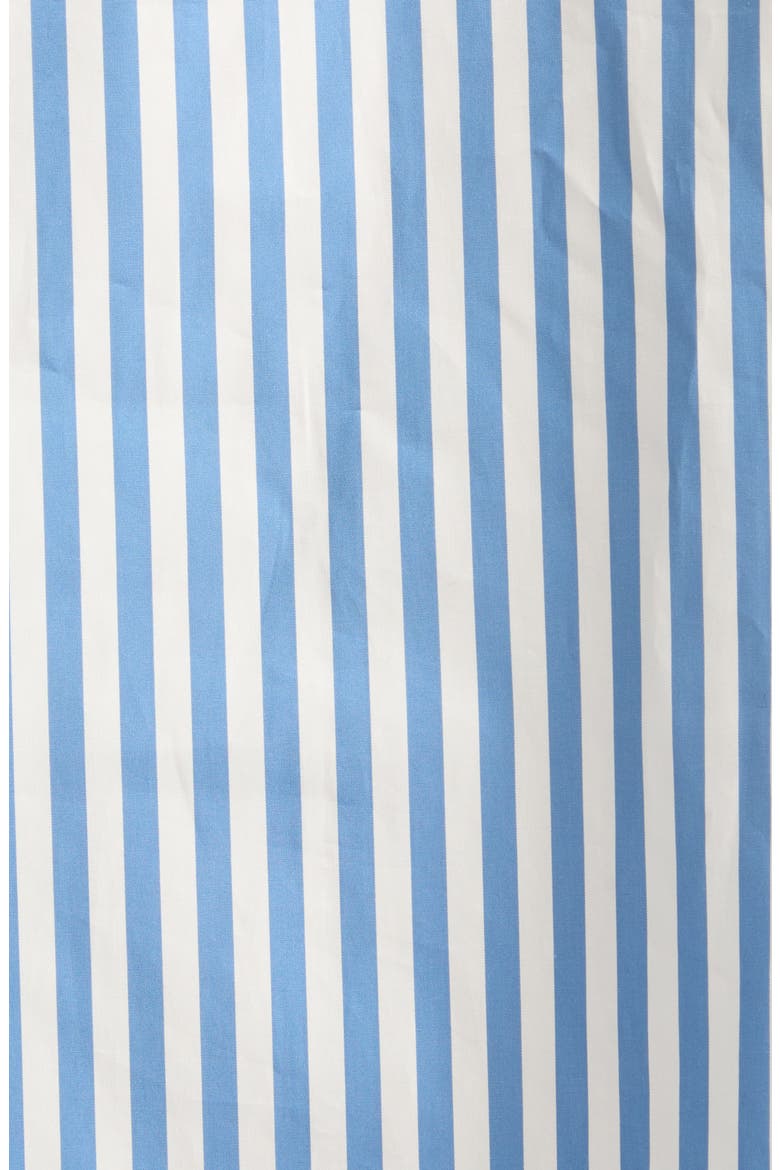 Loren Stripe Cotton Button-Up Shirt, Alternate, color, SKY STRIPE