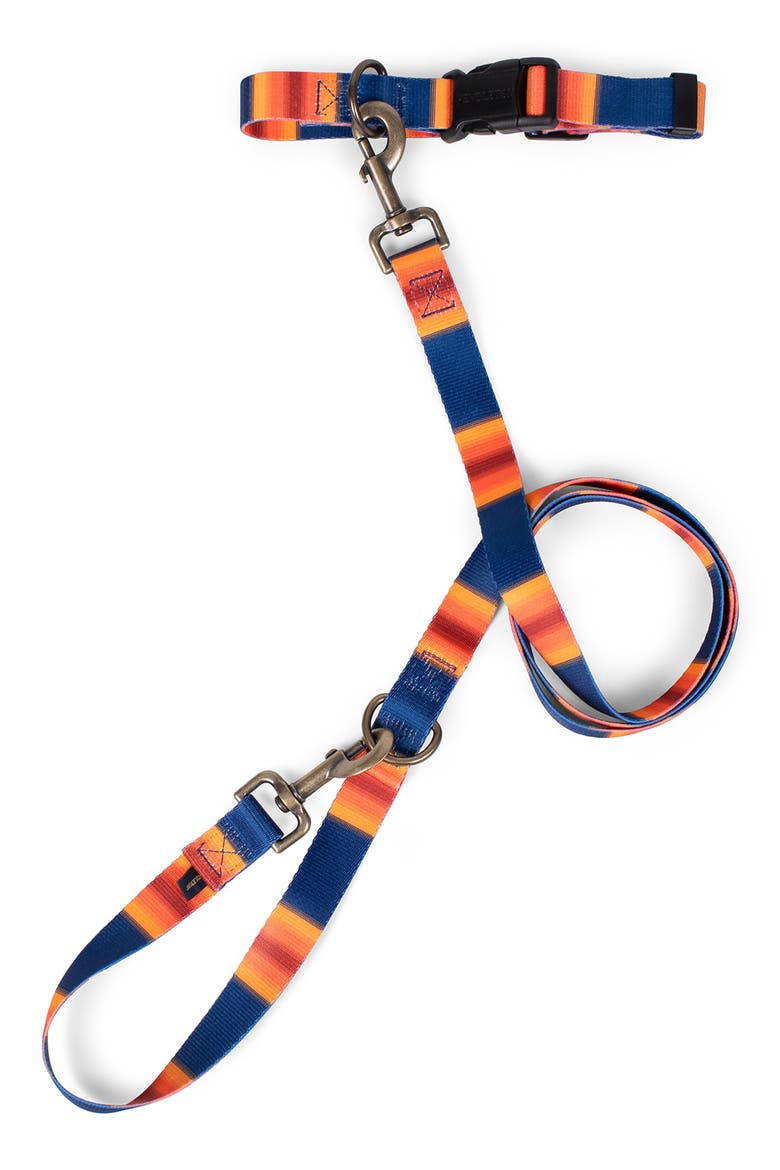 National Park Adventure Leash, Alternate, color, GRAND CANYON