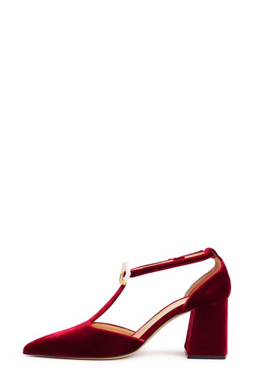 Nalebe Doxa Ankle Strap Pointed Toe Pump In Maroon