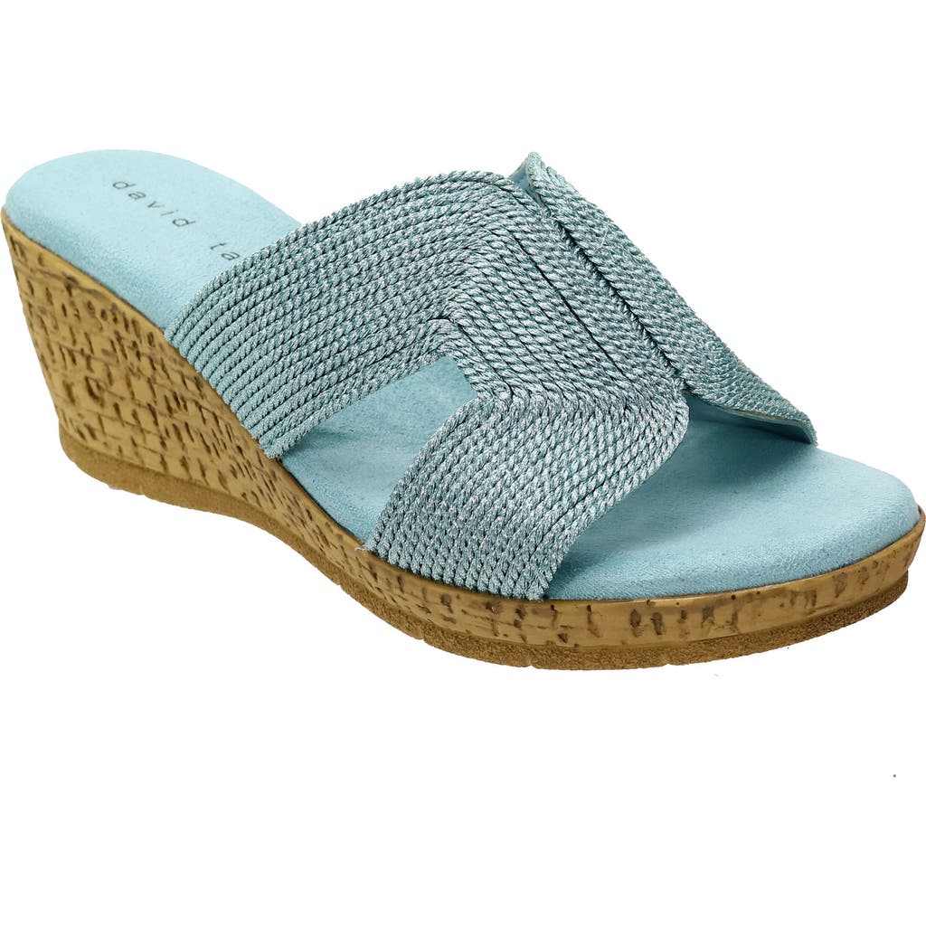 David Tate Vibe Wedge Slide Sandal In Sky
