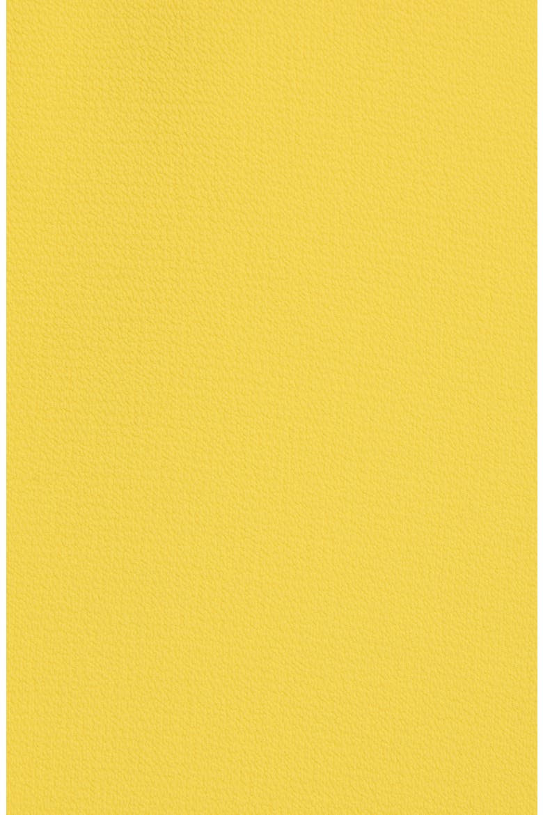 Gibson x Living in Yellow Daphne Scallop Hem Skirt (Nordstrom Exclusive), Alternate, color, YELLOW W/ IVORY