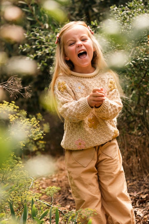 Wild Wawa Jardin Sweater In Neutral