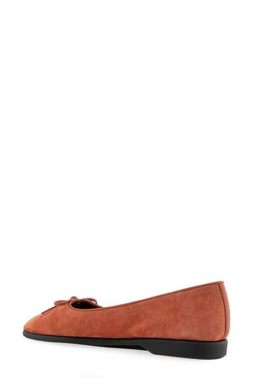 AEROSOLES AEROSOLES NOVIA BALLET FLAT 
