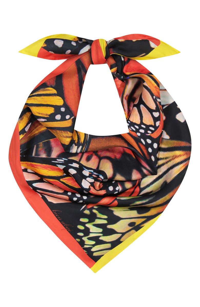 Bien Abyé Papillon Wing Scarf, Main, color, 