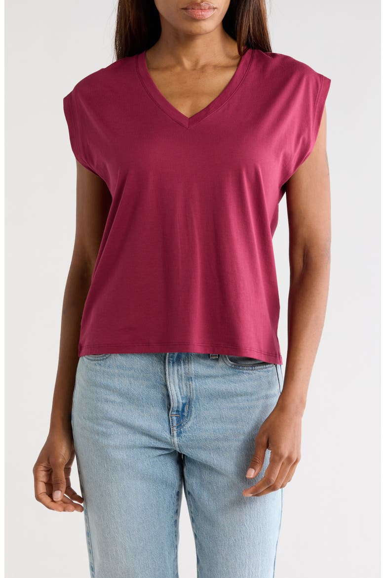 V-Neck Pima Cotton T-Shirt, Main, color, BURGUNDY RHODE