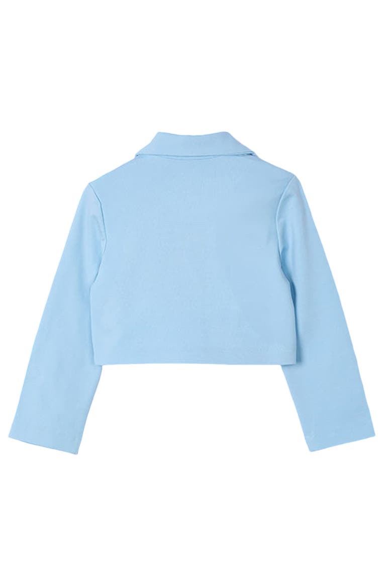 Cropped Jacket, Alternate, color, Blue