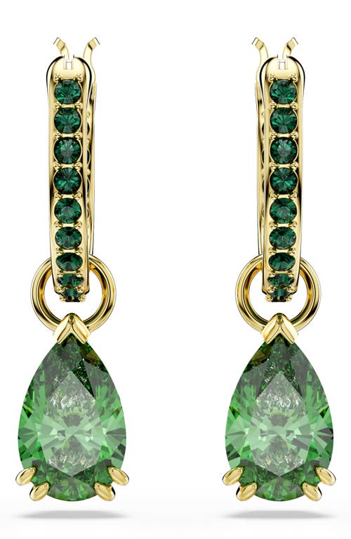 Swarovski Attract Drop Hoop Earrings In Green