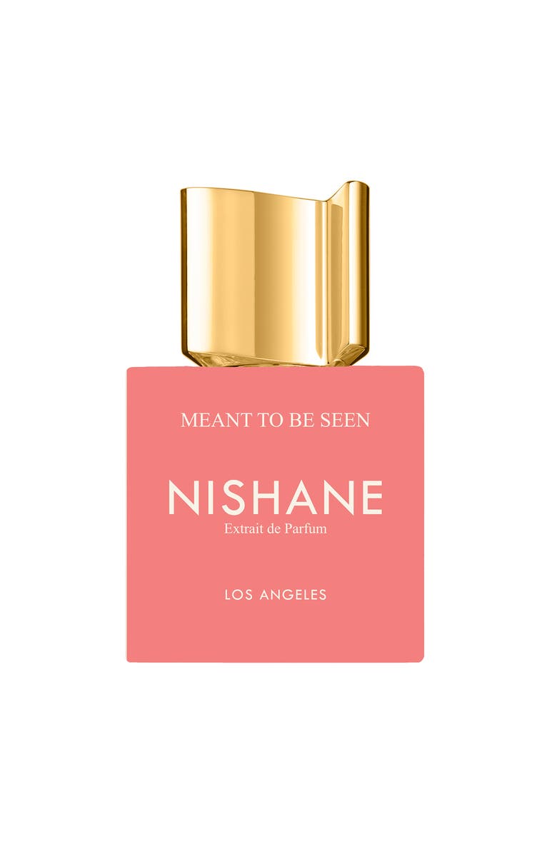 Nishane Meant To Be Seen Extrait De Parfum, Main, color, NO COLOR