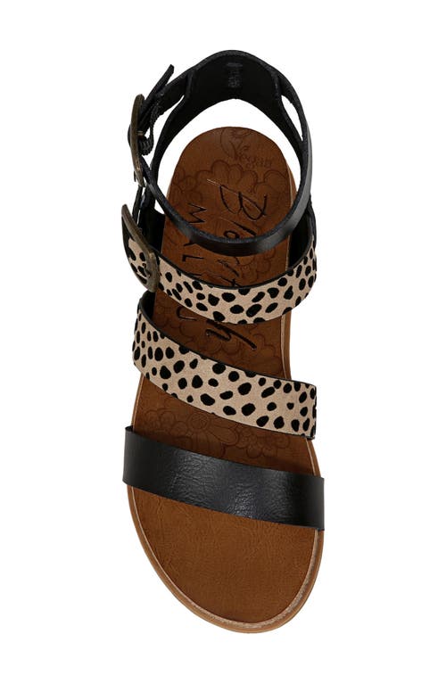 Shop Blowfish Malibu Fancy Ankle Sandal In Black/leopard Faux Leather