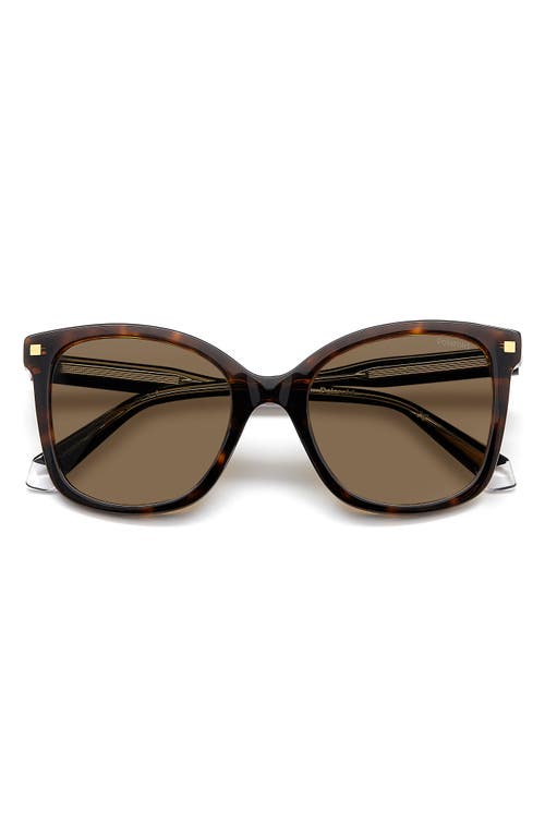 Polaroid 53mm Polarized Square Sunglasses in Havana/Bronze Polar  product