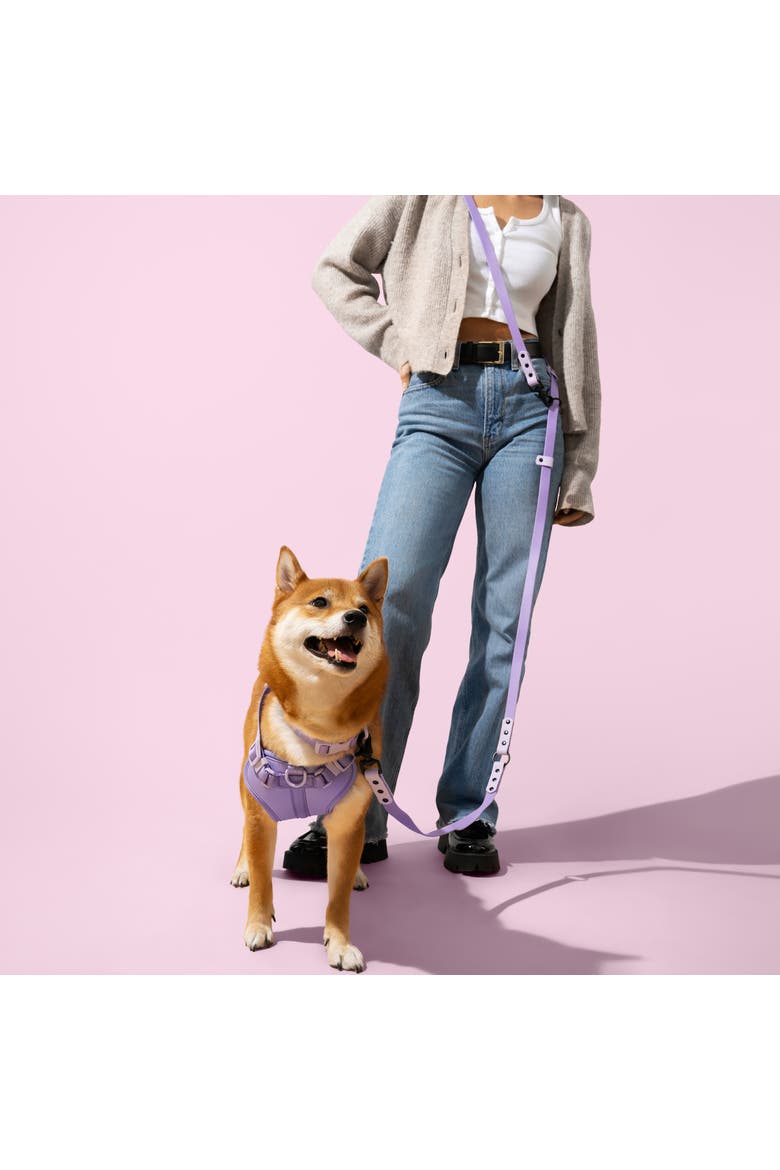 Luna Adjustable 6-in-1 Waterproof Hands-Free Leash and Collar with LED Flashlight, Bag Dispenser, and Poop Bag Holder, Alternate, color, Purple/Light Purple