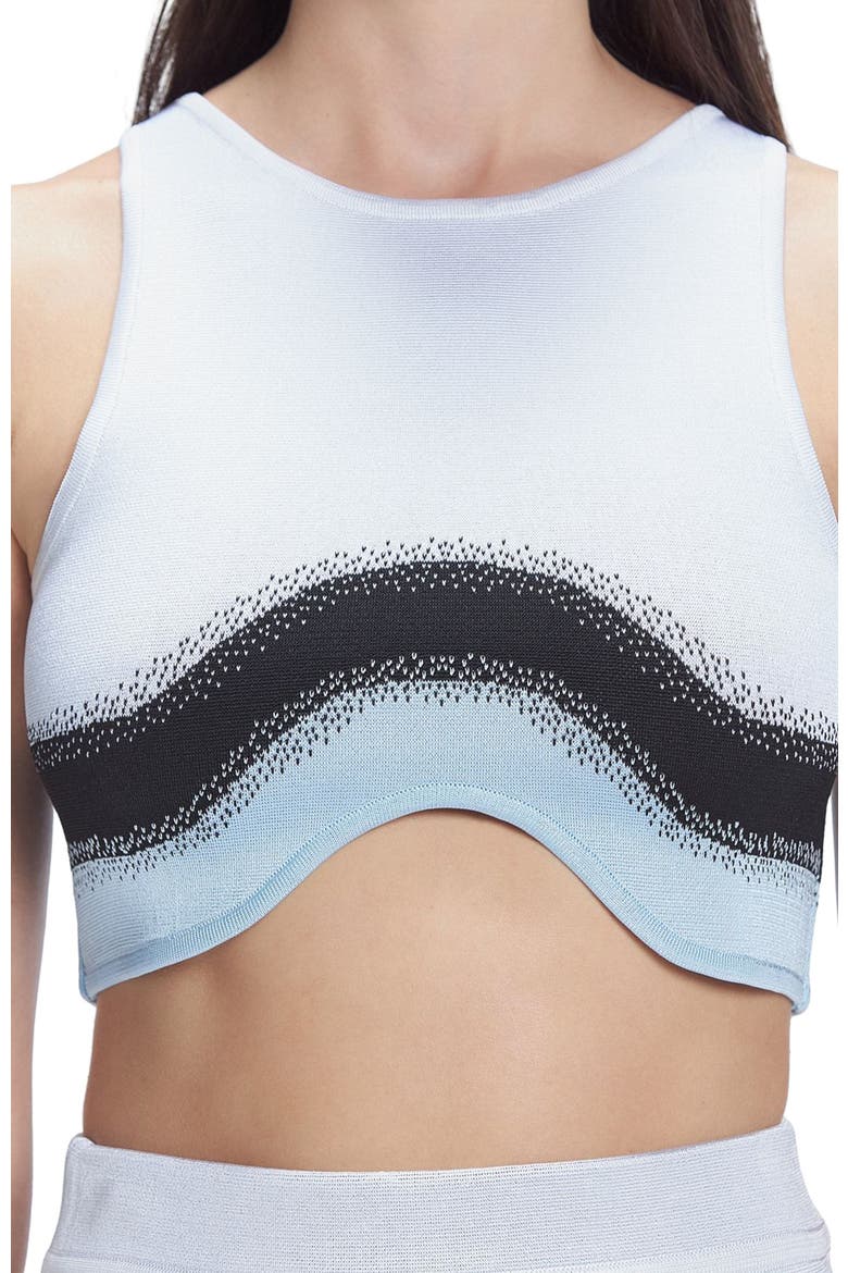 Cecilia Degraded Knit Crop Top, Alternate, color, White