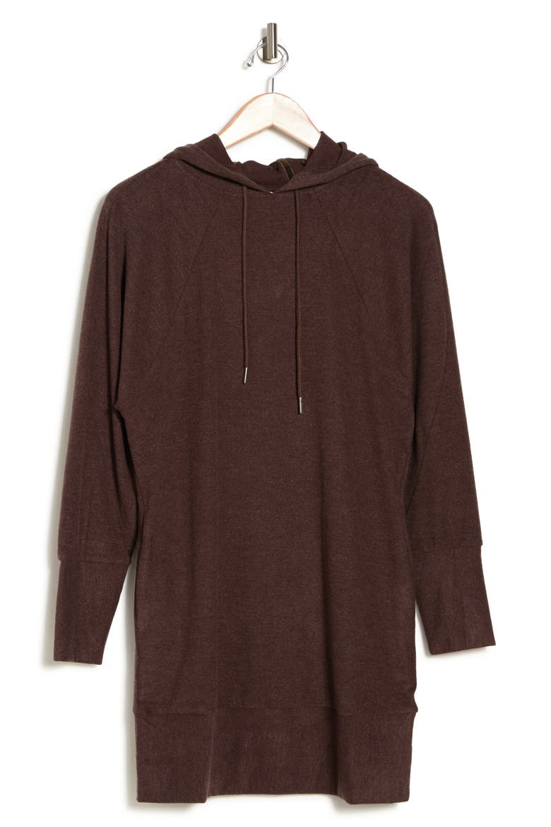 Maisie Hooded Dress, Alternate, color, ESPRESSO