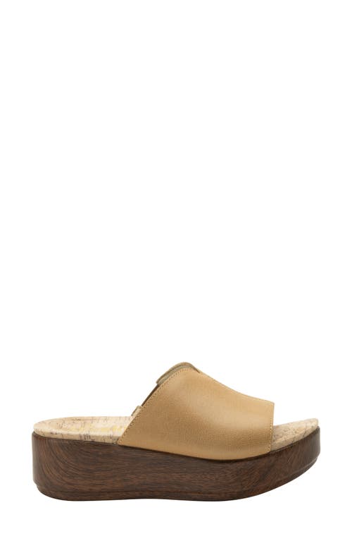 Shop Alegria By Pg Lite Triniti Platform Wedge Slide Sandal