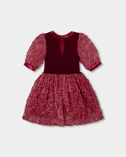 Deux Par Deux Puff Sleeve Bi-material Velour And Lace Dress In Red