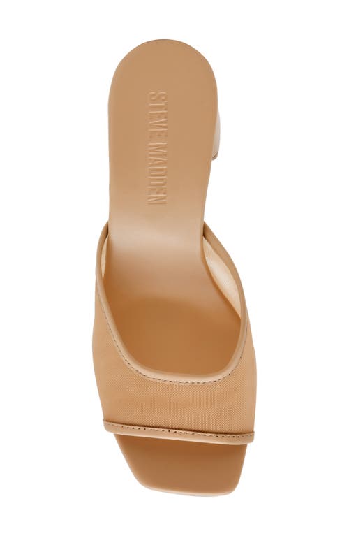 Steve Madden Madame Block Heel Sandal In Brown
