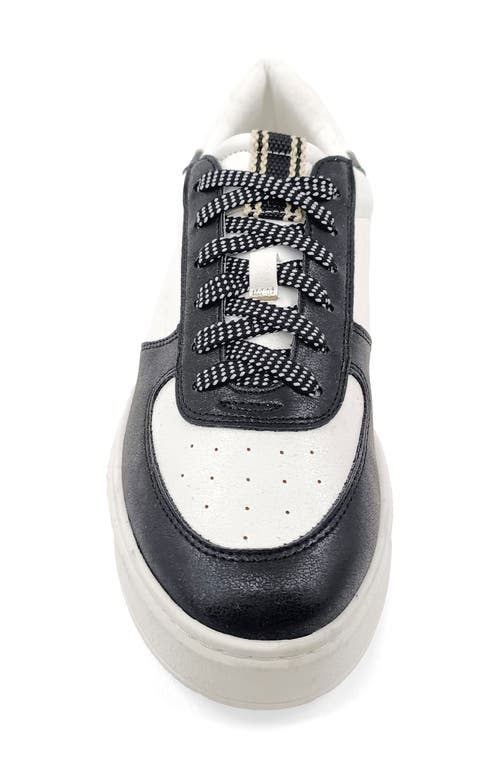 Shushop Shirley Platform Sneaker In Multi