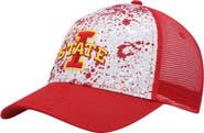 COLOSSEUM Men's Colosseum Gray/Cardinal Iowa State Cyclones Love Fern Trucker Snapback Hat