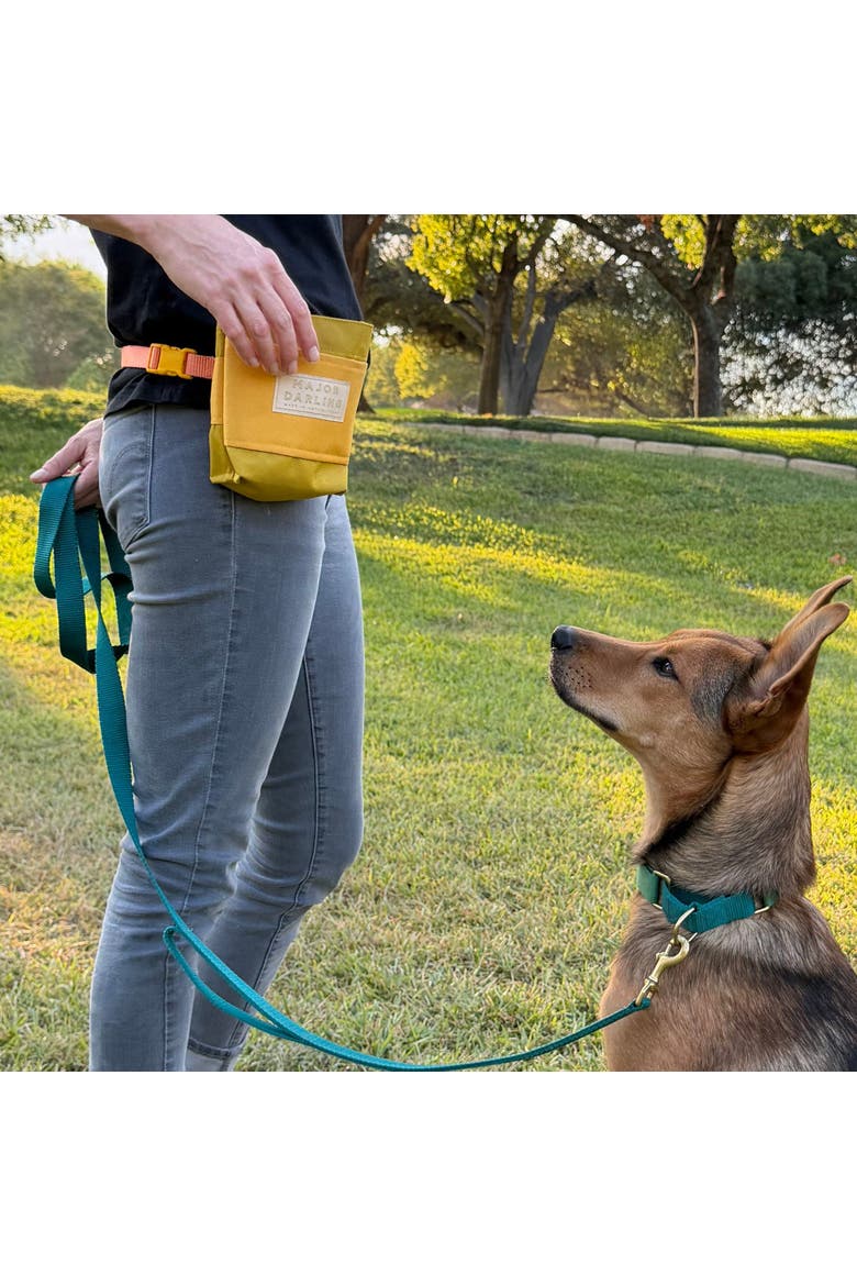 Training Treat Pouch, Alternate, color, Black