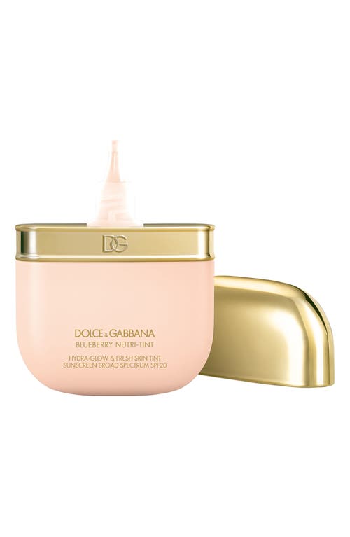 Dolce & Gabbana Dolce&gabbana The Blueberry Nutri-tint Skin Tint