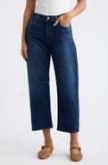 Madewell The Short Darted Barrel Leg Jeans