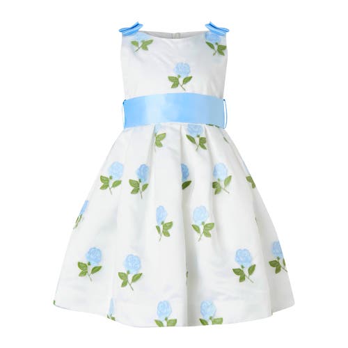 Rachel Riley Rose Embroidered Organza Dress In Blue
