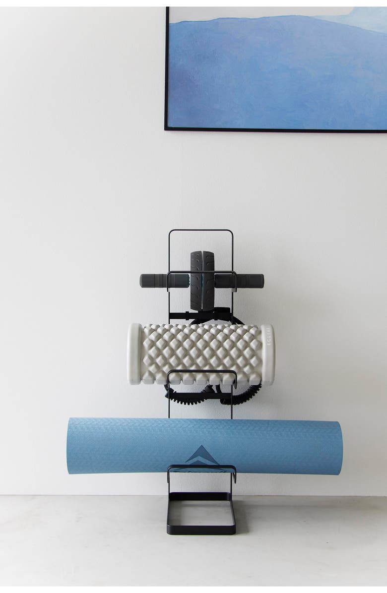 Yamazaki Fitness Equipment Storage Rack, Alternate, color, Black