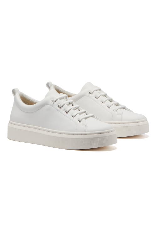 ABEO ABEO JUMPSTREET BUNGEE SNEAKER 