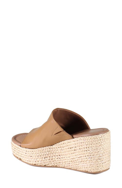 Diba True Go Getter Espadrille Platform Wedge Sandal In Brown