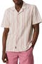  Pink Springs Stripe
