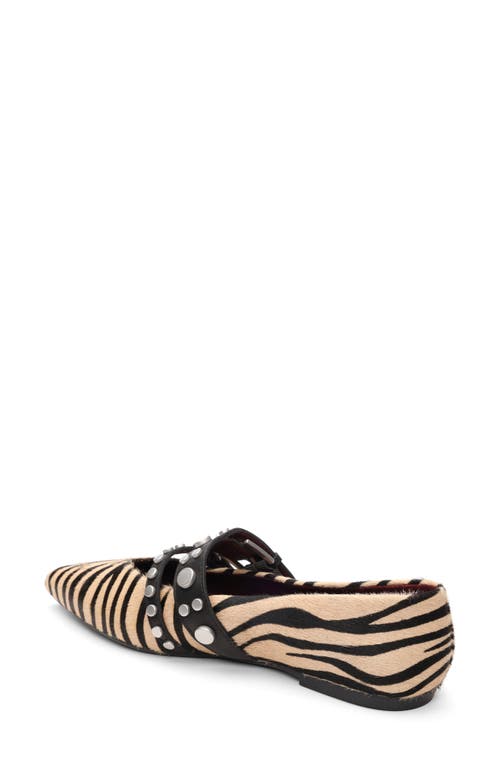 Ash Britnie Pointed Toe Flat In Multi