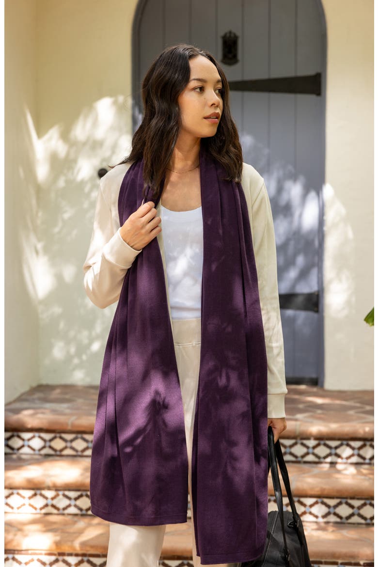 The Dreamsoft Travel Scarf, Alternate, color, BLACKBERRY