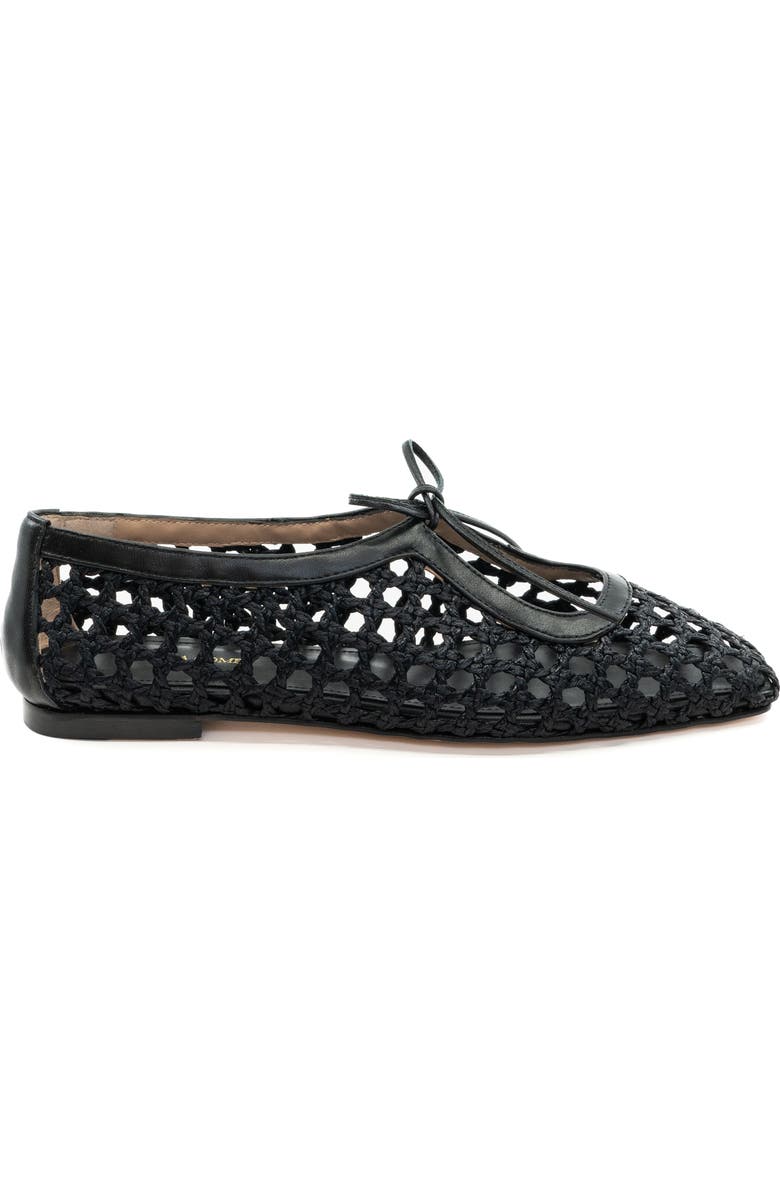 Andrea Gomez Amelia Raffia Ballet Flat, Main, color, Black
