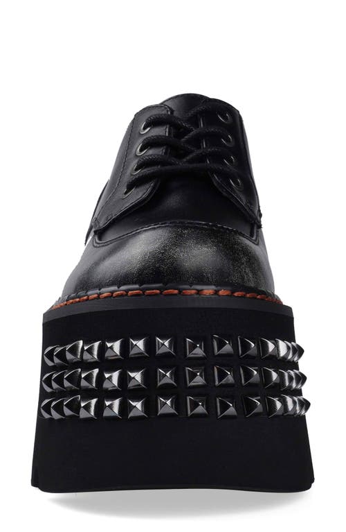 Zigi Celestina Stud Platform Derby In Animal Print