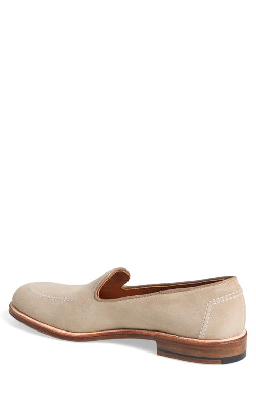 Alden Shoe Company Alden Regina Loafer In Milkshake Suede