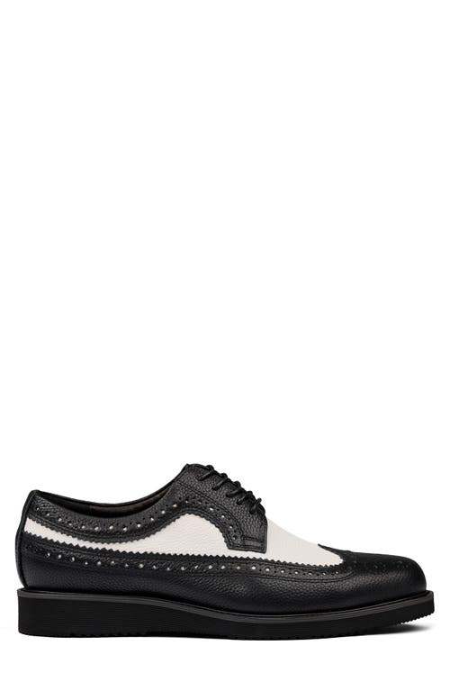 MARC NOLAN MARC NOLAN ALEXANDER WINGTIP DERBY 