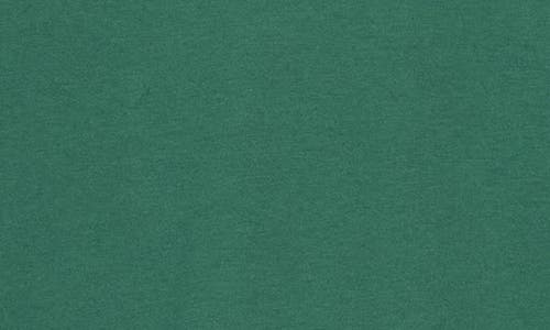 Calvin Klein Standard Logo Cotton Crewneck T-shirt In Green