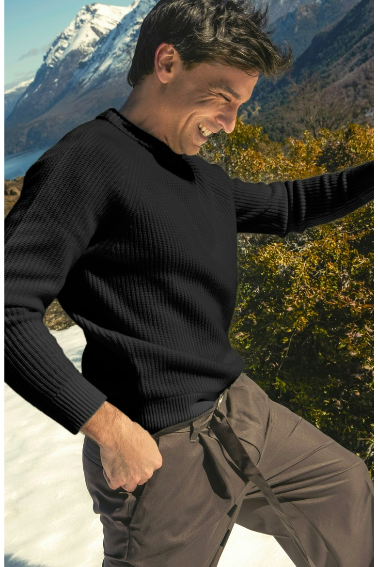 Aidan Chunky Cashmere Crewneck Sweater, Alternate, color, Black