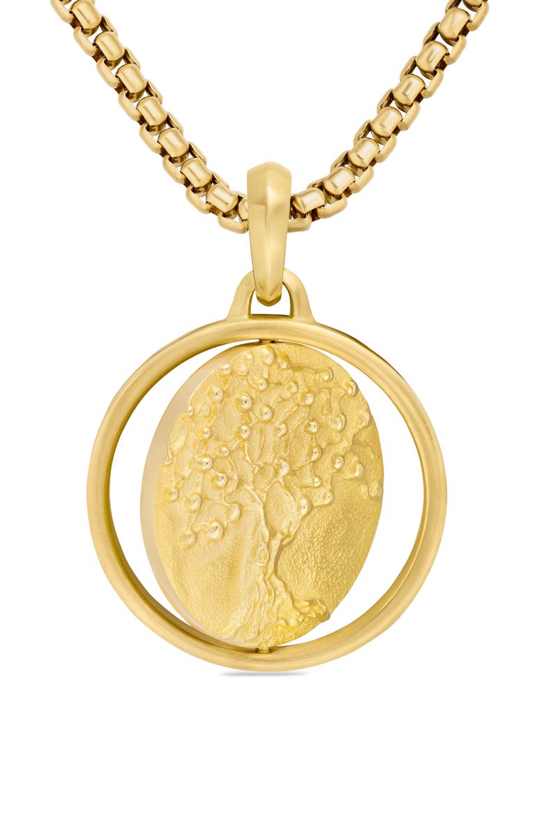 David Yurman Petrvs<sup>®</sup> Life & Death Amulet in 18K Yellow Gold, Alternate, color, 18K Yellow Gold