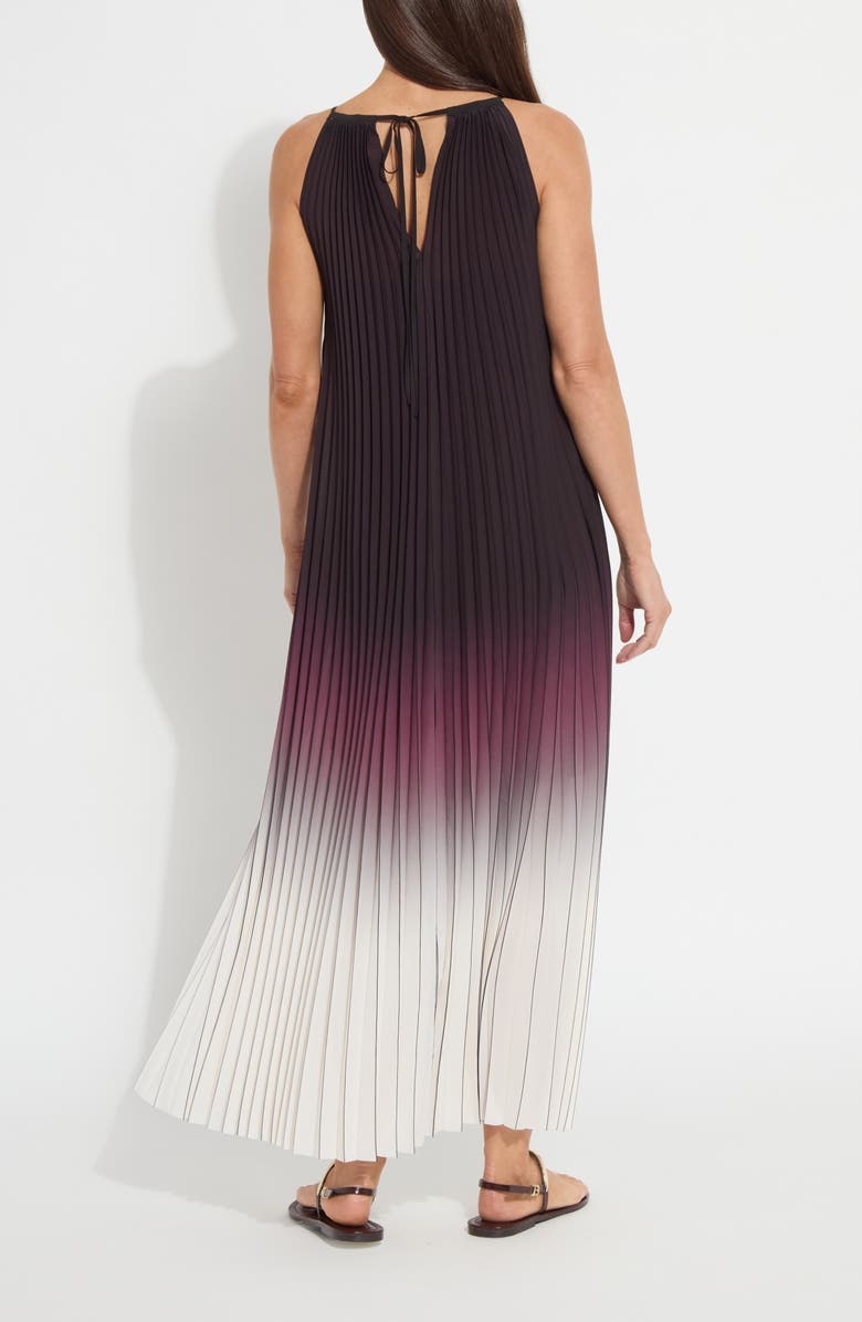 Lysse Lorena Pleated Chiffon Dress, Alternate, color, Red Sangria